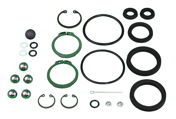 Seal Kit - NLG Actuator